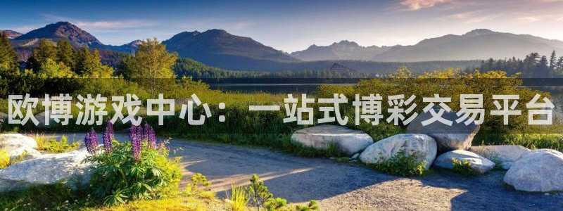 u8国际登录网址