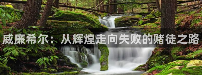 u8国际是什么