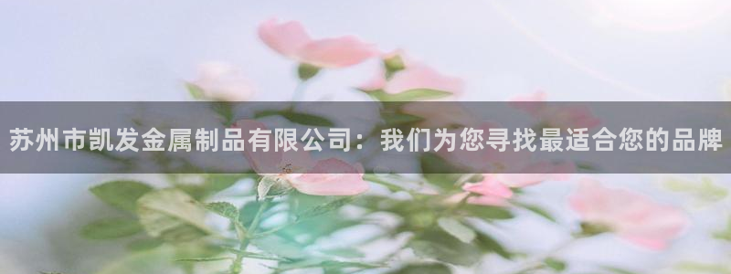 u8国际设计焕新上线.页面浏览.中国：苏州市凯发金属制品有限公司：我们为您寻找最适合您的品牌