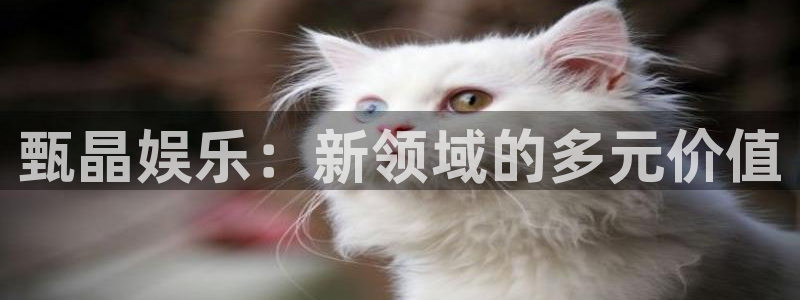 u8国际集团：甄晶娱乐：新领域的多元价值