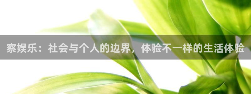 u8国际：察娱乐：社会与个人的边界，体验不一样的生活体验