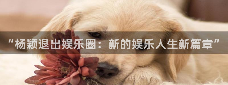 U8国际官网：“杨颖退出娱乐圈：新的娱乐人生新篇章”