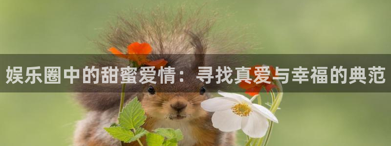 u8国际平台官网入口：娱乐圈中的甜蜜爱情：寻找真爱与幸福的典范