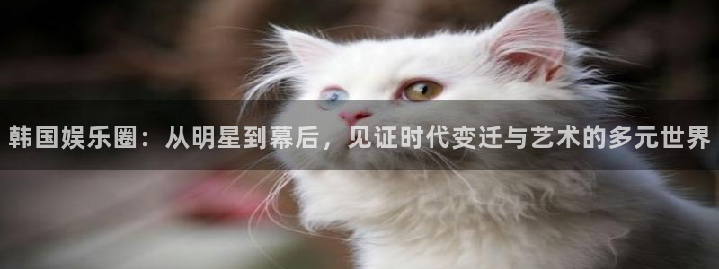 u8国际官网：韩国娱乐圈：从明星到幕后，见证时代变迁与艺术的多元世界