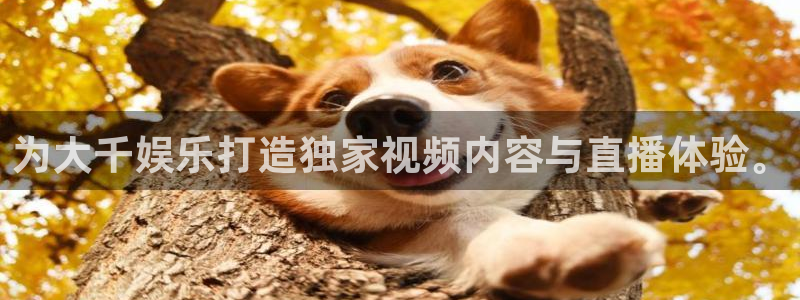 u8国际集团