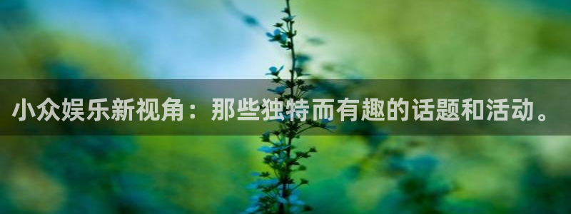 U8国际官网：小众娱乐新视角：那些独特而有趣的话题和活动。
