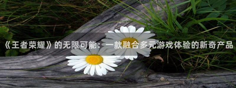 u8国际设计焕新上线.页面浏览.中国：《王者荣耀》的无限可能：一款融合多元游戏体验的新奇产品