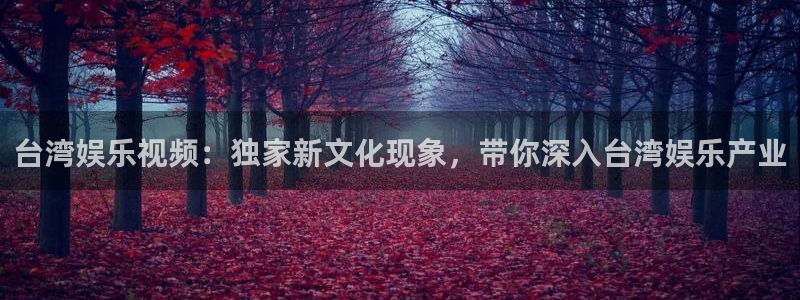 u8国际设计焕新上线.页面浏览.中国：台湾娱乐视频：独家新文化现象，带你深入台湾娱乐产业