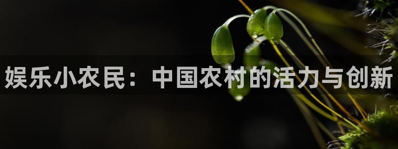 u8国际集团引商：娱乐小农民：中国农村的活力与创新