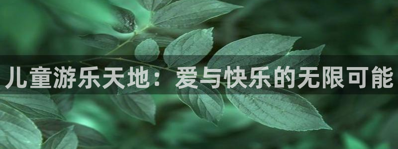u8国际网站：儿童游乐天地：爱与快乐的无限可能