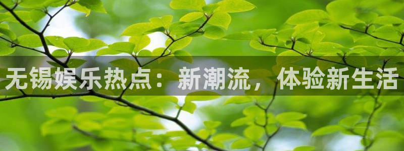 u8国际网站：无锡娱乐热点：新潮流，体验新生活