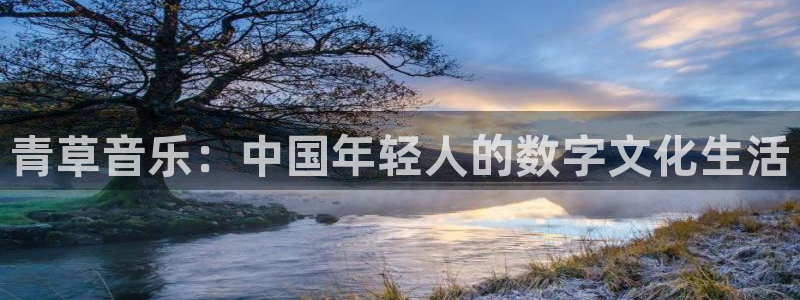 u8国际集团：青草音乐：中国年轻人的数字文化生活