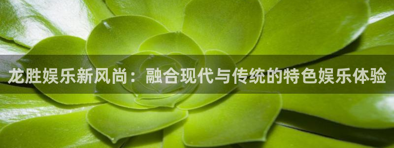u8国际界面视觉重构.活动专区.中国：龙胜娱乐新风尚：融合现代与传统的特色娱乐体验