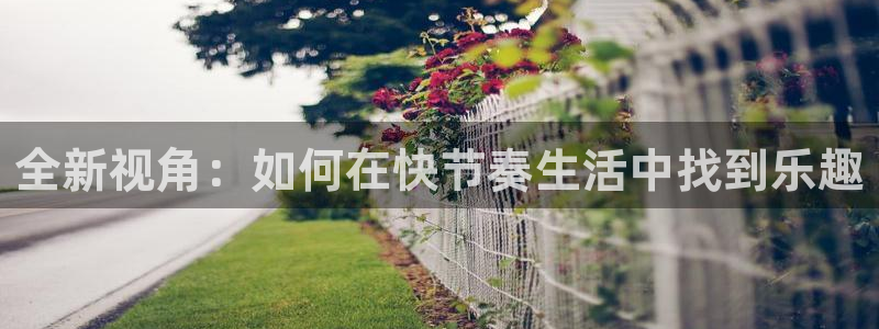 u8国际集团：全新视角：如何在快节奏生活中找到乐趣