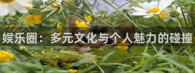 u8国际网站特惠活动上线.游戏新版更新.中国：娱乐圈：多元文化与个人魅力的碰撞
