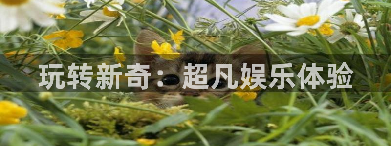 u8国际集团引商：玩转新奇：超凡娱乐体验