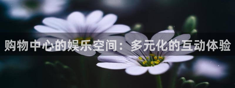 u8是什么意思：购物中心的娱乐空间：多元化的互动体验