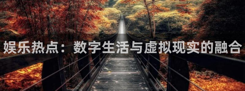 u8国际平台官网入口：娱乐热点：数字生活与虚拟现实的融合