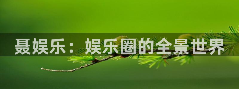 优发国际平台u8：聂娱乐：娱乐圈的全景世界