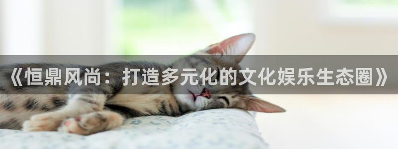 U8国际官网：《恒鼎风尚：打造多元化的文化娱乐生态圈》
