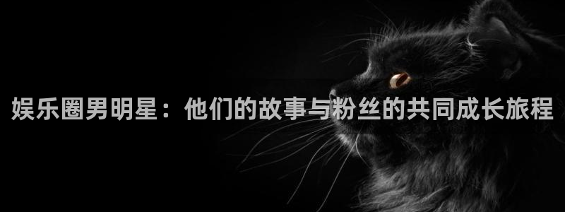 u8国际：娱乐圈男明星：他们的故事与粉丝的共同成长旅程