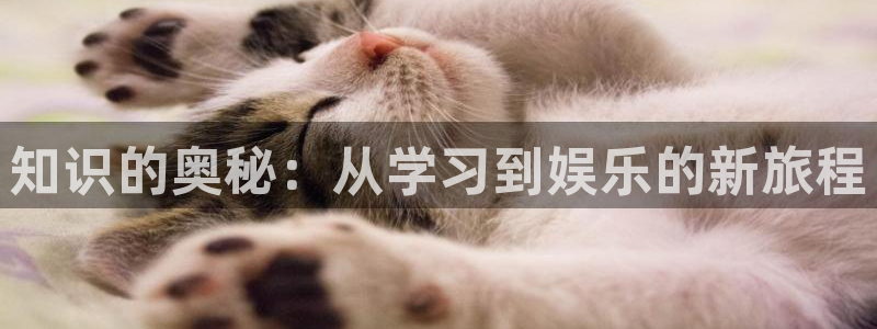 u8国际登录网址：知识的奥秘：从学习到娱乐的新旅程